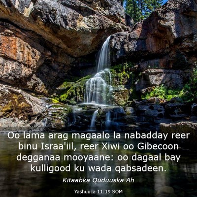 Picture 03 - Yashuuca 11:19 SOM - Oo lama arag magaalo la nabadday reer binu - Bible Verse Picture