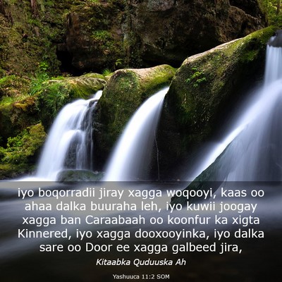 Picture 03 - Yashuuca 11:2 SOM - iyo boqorradii jiray xagga woqooyi, kaas oo ahaa - Bible Verse Picture