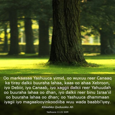 Picture 03 - Yashuuca 11:21 SOM - Oo markaasaa Yashuuca yimid, oo wuxuu reer Canaaq - Bible Verse Picture