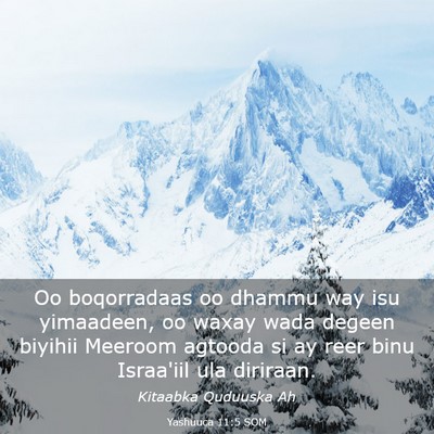 Picture 03 - Yashuuca 11:5 SOM - Oo boqorradaas oo dhammu way isu yimaadeen, oo - Bible Verse Picture