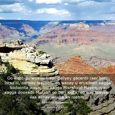 Picture 03 - Yashuuca 11:8 SOM - Oo Rabbigu wuxuu iyagii geliyey gacantii reer - Bible Verse Picture