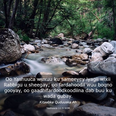 Picture 03 - Yashuuca 11:9 SOM - Oo Yashuuca wuxuu ku sameeyey iyagii wixii - Bible Verse Picture