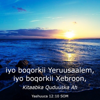 Picture 03 - Yashuuca 12:10 SOM - iyo boqorkii Yeruusaalem, iyo boqorkii - Bible Verse Picture