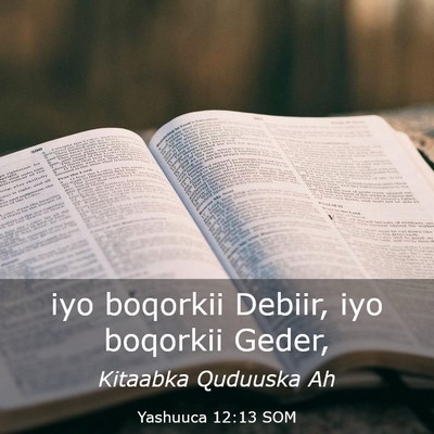 Picture 03 - Yashuuca 12:13 SOM - iyo boqorkii Debiir, iyo boqorkii - Bible Verse Picture