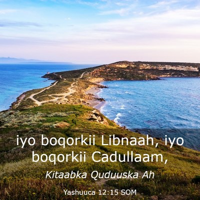 Picture 03 - Yashuuca 12:15 SOM - iyo boqorkii Libnaah, iyo boqorkii - Bible Verse Picture