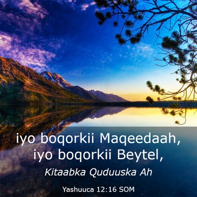 Picture 03 - Yashuuca 12:16 SOM - iyo boqorkii Maqeedaah, iyo boqorkii - Bible Verse Picture