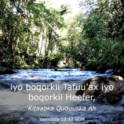 Picture 03 - Yashuuca 12:17 SOM - iyo boqorkii Tafuu'ax iyo boqorkii - Bible Verse Picture