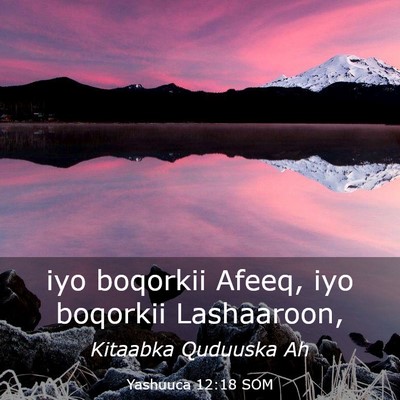 Picture 03 - Yashuuca 12:18 SOM - iyo boqorkii Afeeq, iyo boqorkii - Bible Verse Picture