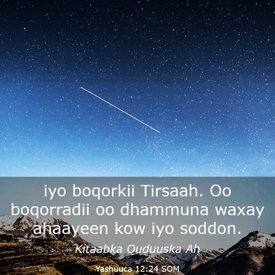 Picture 03 - Yashuuca 12:24 SOM - iyo boqorkii Tirsaah. Oo boqorradii oo dhammuna - Bible Verse Picture