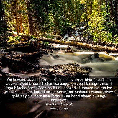 Picture 03 - Yashuuca 12:7 SOM - Oo kuwanu waa boqorradii Yashuuca iyo reer binu - Bible Verse Picture