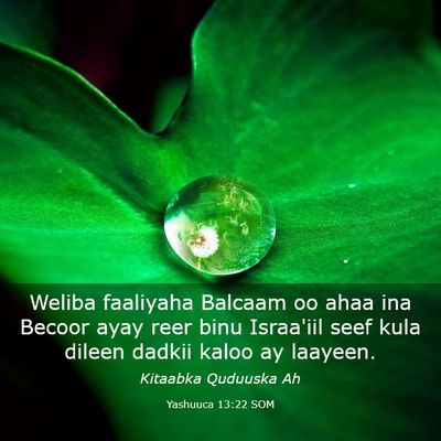 Picture 03 - Yashuuca 13:22 SOM - Weliba faaliyaha Balcaam oo ahaa ina Becoor ayay - Bible Verse Picture