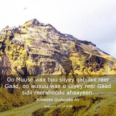 Picture 03 - Yashuuca 13:24 SOM - Oo Muuse wax buu siiyey qabiilkii reer Gaad, oo - Bible Verse Picture