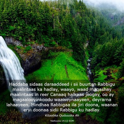 Picture 03 - Yashuuca 14:12 SOM - Haddaba sidaas daraaddeed i sii buurtan Rabbigu - Bible Verse Picture