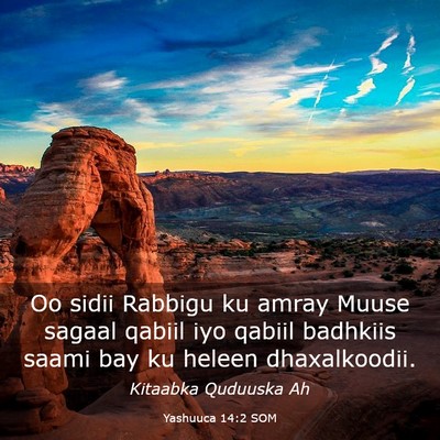 Picture 03 - Yashuuca 14:2 SOM - Oo sidii Rabbigu ku amray Muuse sagaal qabiil iyo - Bible Verse Picture