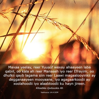 Picture 03 - Yashuuca 14:4 SOM - Maxaa yeelay, reer Yuusuf waxay ahaayeen laba - Bible Verse Picture