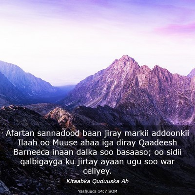 Picture 03 - Yashuuca 14:7 SOM - Afartan sannadood baan jiray markii addoonkii - Bible Verse Picture