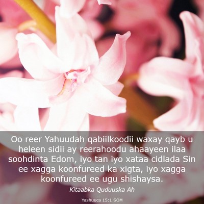 Picture 03 - Yashuuca 15:1 SOM - Oo reer Yahuudah qabiilkoodii waxay qayb u heleen - Bible Verse Picture