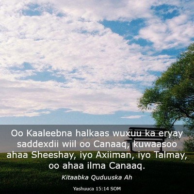 Picture 03 - Yashuuca 15:14 SOM - Oo Kaaleebna halkaas wuxuu ka eryay saddexdii - Bible Verse Picture