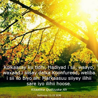 Picture 03 - Yashuuca 15:19 SOM - Kolkaasay ku tidhi, Hadiyad i sii, waayo, waxaad - Bible Verse Picture