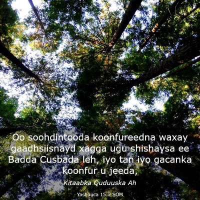 Picture 03 - Yashuuca 15:2 SOM - Oo soohdintooda koonfureedna waxay gaadhsiisnayd - Bible Verse Picture