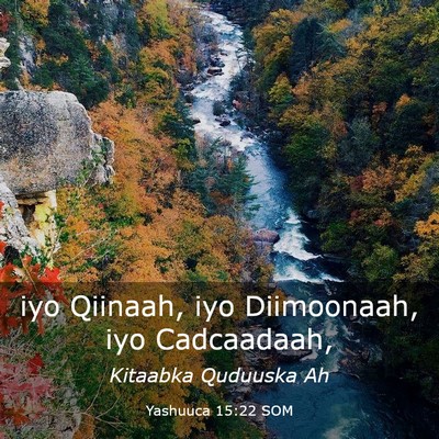 Picture 03 - Yashuuca 15:22 SOM - iyo Qiinaah, iyo Diimoonaah, iyo - Bible Verse Picture
