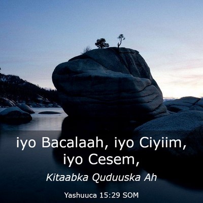 Picture 03 - Yashuuca 15:29 SOM - iyo Bacalaah, iyo Ciyiim, iyo - Bible Verse Picture