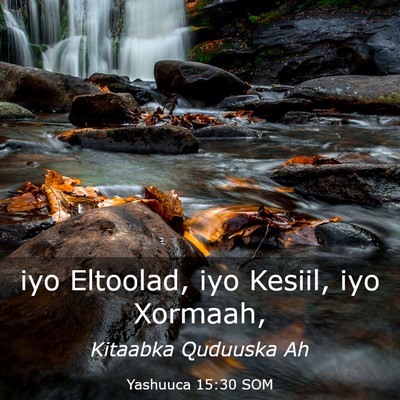 Picture 03 - Yashuuca 15:30 SOM - iyo Eltoolad, iyo Kesiil, iyo - Bible Verse Picture