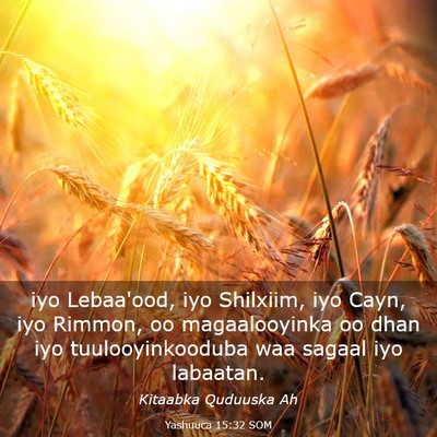 Picture 03 - Yashuuca 15:32 SOM - iyo Lebaa'ood, iyo Shilxiim, iyo Cayn, iyo - Bible Verse Picture