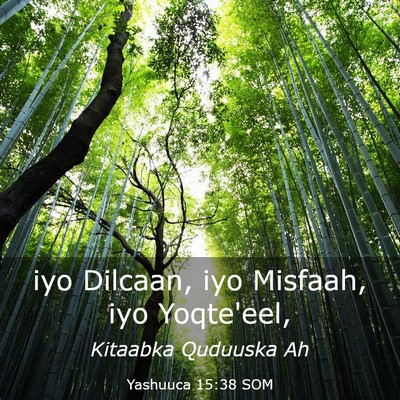 Picture 03 - Yashuuca 15:38 SOM - iyo Dilcaan, iyo Misfaah, iyo - Bible Verse Picture