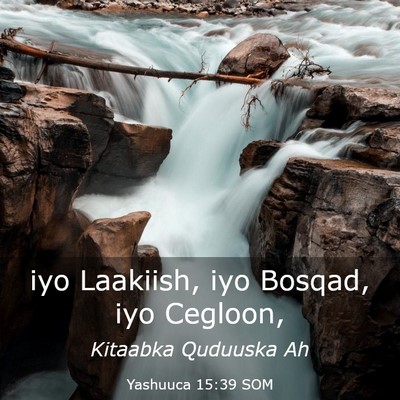 Picture 03 - Yashuuca 15:39 SOM - iyo Laakiish, iyo Bosqad, iyo - Bible Verse Picture