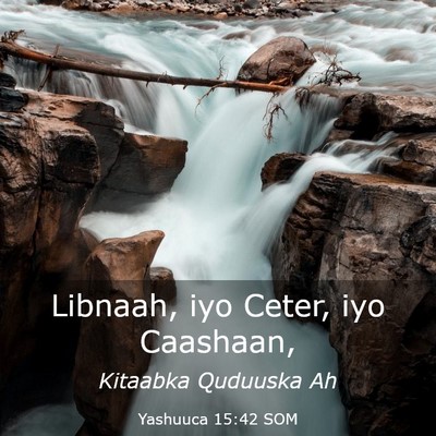 Picture 03 - Yashuuca 15:42 SOM - Libnaah, iyo Ceter, iyo - Bible Verse Picture