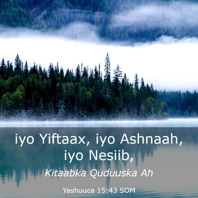 Picture 03 - Yashuuca 15:43 SOM - iyo Yiftaax, iyo Ashnaah, iyo - Bible Verse Picture