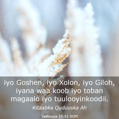 Picture 03 - Yashuuca 15:51 SOM - iyo Goshen, iyo Xolon, iyo Giloh, iyana waa koob - Bible Verse Picture