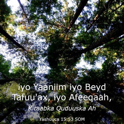 Picture 03 - Yashuuca 15:53 SOM - iyo Yaaniim iyo Beyd Tafuu'ax, iyo - Bible Verse Picture