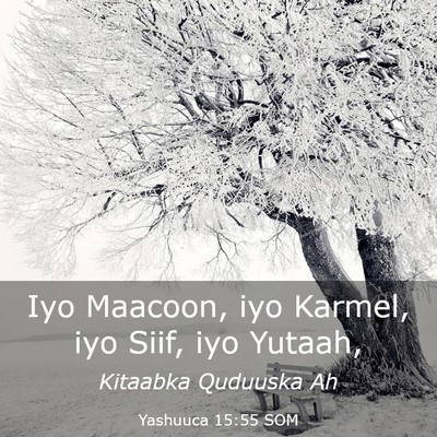 Picture 03 - Yashuuca 15:55 SOM - Iyo Maacoon, iyo Karmel, iyo Siif, iyo - Bible Verse Picture