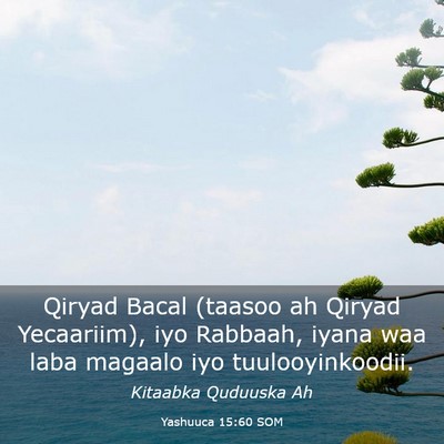 Picture 03 - Yashuuca 15:60 SOM - Qiryad Bacal (taasoo ah Qiryad Yecaariim), iyo - Bible Verse Picture