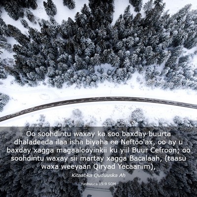Picture 03 - Yashuuca 15:9 SOM - Oo soohdintu waxay ka soo baxday buurta - Bible Verse Picture