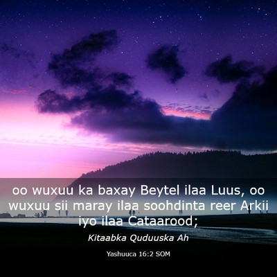 Picture 03 - Yashuuca 16:2 SOM - oo wuxuu ka baxay Beytel ilaa Luus, oo wuxuu sii - Bible Verse Picture