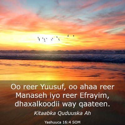 Picture 03 - Yashuuca 16:4 SOM - Oo reer Yuusuf, oo ahaa reer Manaseh iyo reer - Bible Verse Picture
