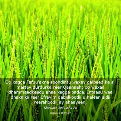 Picture 03 - Yashuuca 16:8 SOM - Oo xagga Tafuu'axna soohdintu waxay galbeed ka - Bible Verse Picture