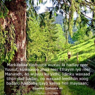 Picture 03 - Yashuuca 17:17 SOM - Markaasaa Yashuuca wuxuu la hadlay reer Yuusuf, - Bible Verse Picture