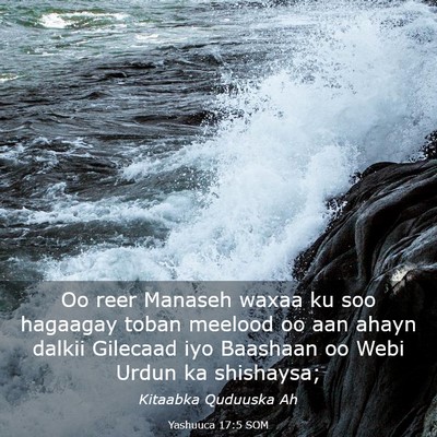Picture 03 - Yashuuca 17:5 SOM - Oo reer Manaseh waxaa ku soo hagaagay toban - Bible Verse Picture