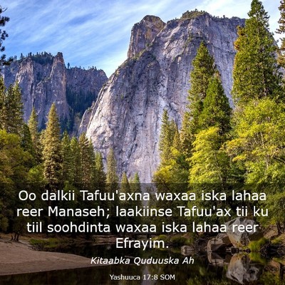 Picture 03 - Yashuuca 17:8 SOM - Oo dalkii Tafuu'axna waxaa iska lahaa reer - Bible Verse Picture