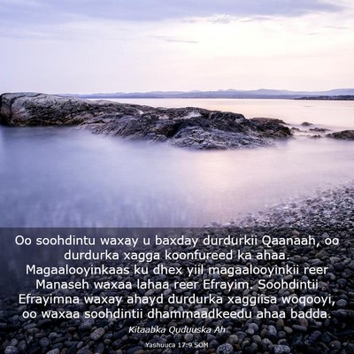 Picture 03 - Yashuuca 17:9 SOM - Oo soohdintu waxay u baxday durdurkii Qaanaah, oo - Bible Verse Picture