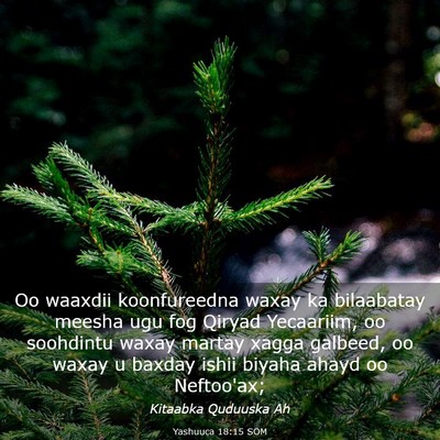 Picture 03 - Yashuuca 18:15 SOM - Oo waaxdii koonfureedna waxay ka bilaabatay - Bible Verse Picture