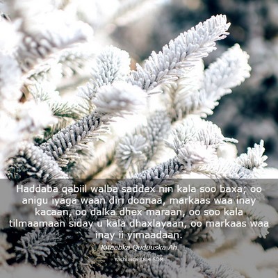 Picture 03 - Yashuuca 18:4 SOM - Haddaba qabiil walba saddex nin kala soo baxa; oo - Bible Verse Picture