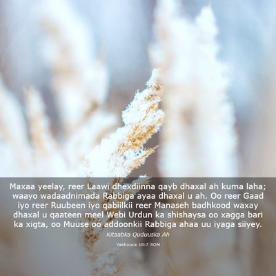 Picture 03 - Yashuuca 18:7 SOM - Maxaa yeelay, reer Laawi dhexdiinna qayb dhaxal - Bible Verse Picture