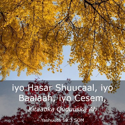Picture 03 - Yashuuca 19:3 SOM - iyo Hasar Shuucaal, iyo Baalaah, iyo - Bible Verse Picture