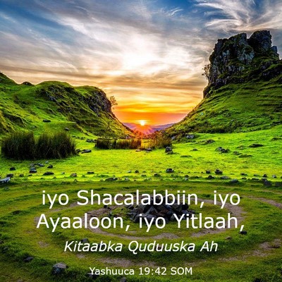 Picture 03 - Yashuuca 19:42 SOM - iyo Shacalabbiin, iyo Ayaaloon, iyo - Bible Verse Picture