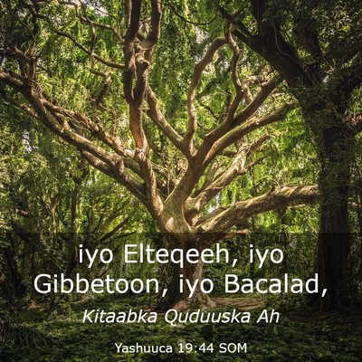 Picture 03 - Yashuuca 19:44 SOM - iyo Elteqeeh, iyo Gibbetoon, iyo - Bible Verse Picture